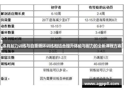 体育耐力训练与自重循环训练相结合提升体能与耐力的全新课程方案